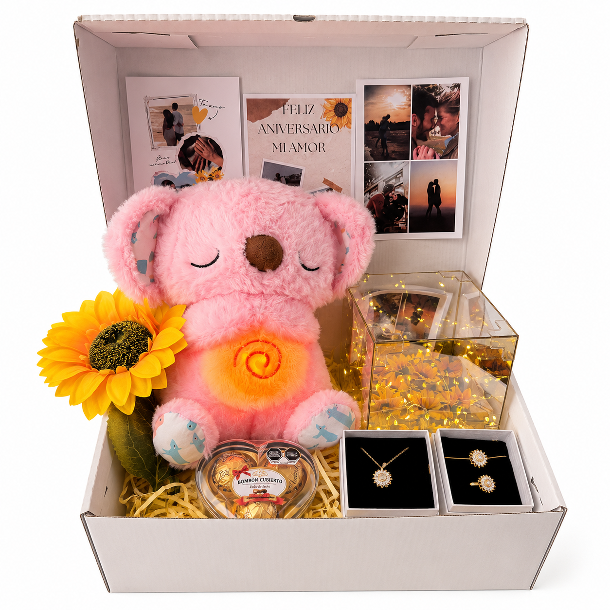 Box girasol Koala dormilon